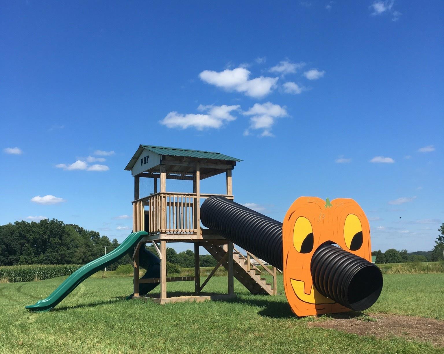 83912 pumpkin slide