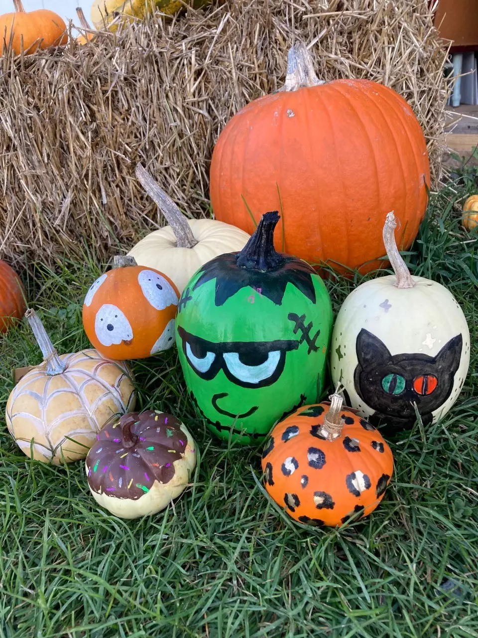 painted pumpkins